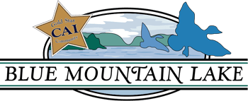 Blue Mountain Lake Logo