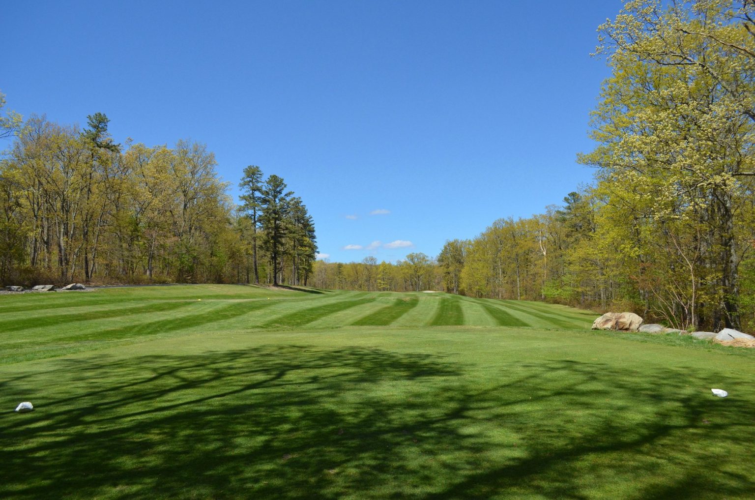 Realtors in the Poconos Reputable Real Estate Company Wilkins & Associates