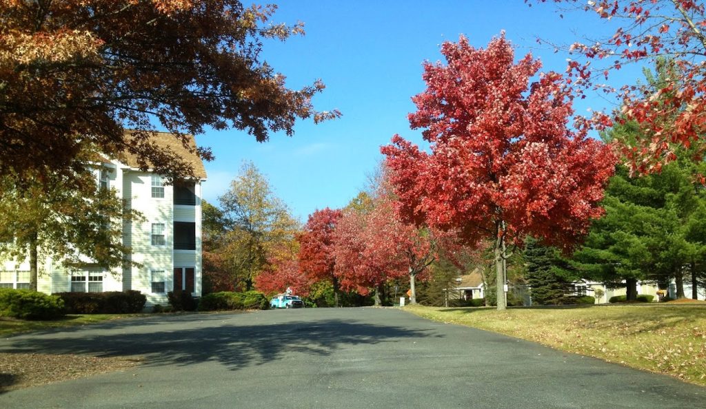 Realtors in the Poconos Reputable Real Estate Company Wilkins